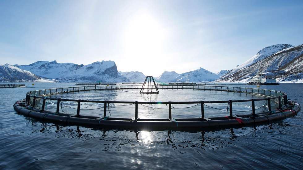 Salmon Center - Visit Bodø