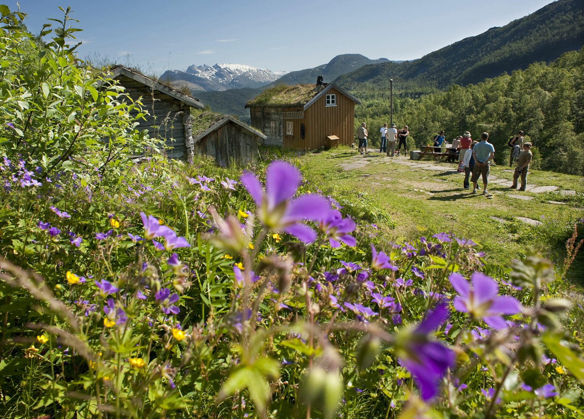 Crofter's farm in Kjevik - Cultural heritage - Visit Bodø